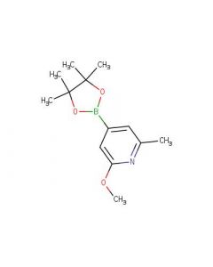 Astatech 2-METHOXY-6-METHYL-4-(4,4,5,5-TETRAMETHYL-1,3,2-DIOXABOROLAN-2-YL)PYRIDINE; 0.25G; Purity 95%; MDL-MFCD12546463